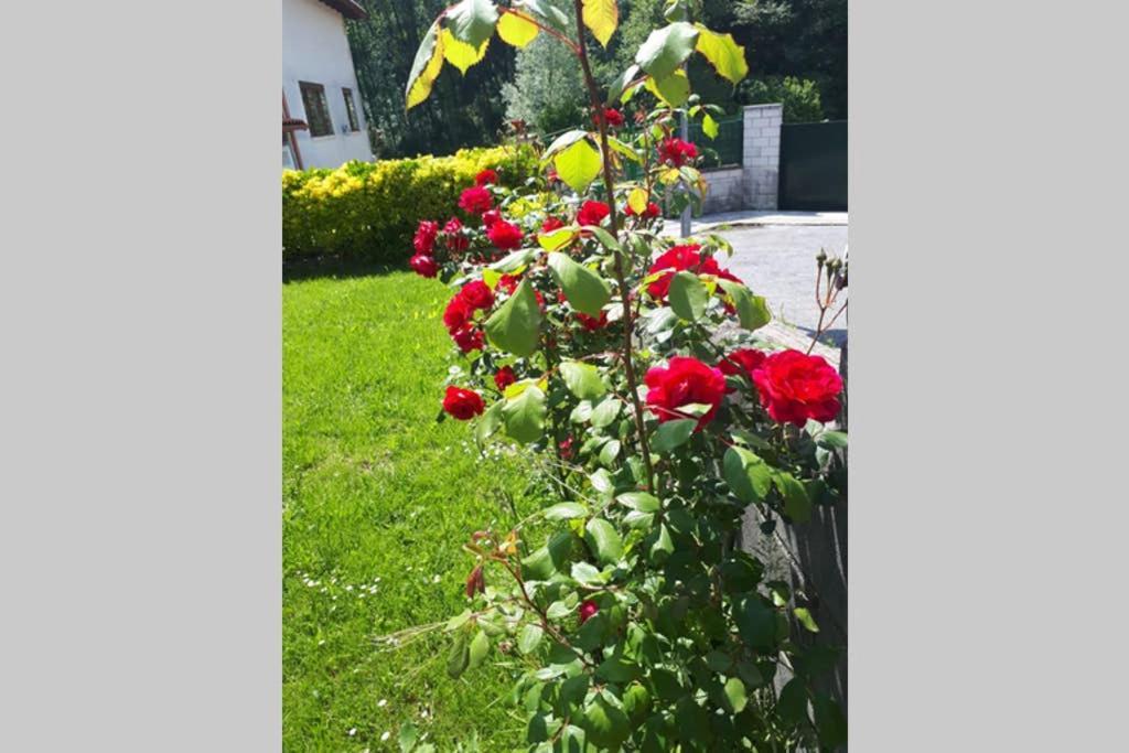 Chalet Familias 10 Huespedes Beranga Noja Playas, Mascotas Bienvenidas מראה חיצוני תמונה