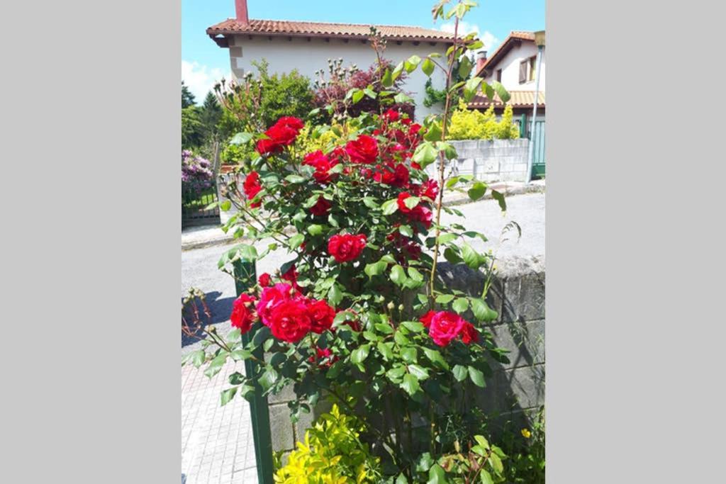 Chalet Familias 10 Huespedes Beranga Noja Playas, Mascotas Bienvenidas מראה חיצוני תמונה